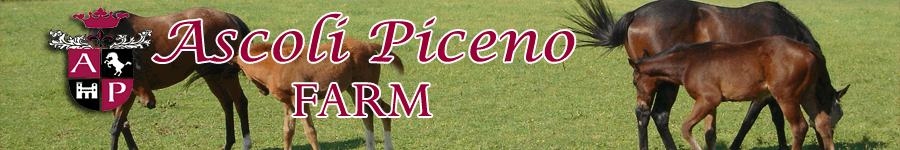horse_breed