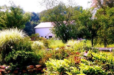 Ascoli Piceno Stables, LLC