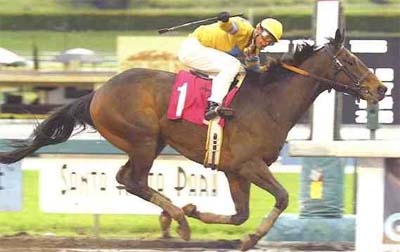 American Dream Stable