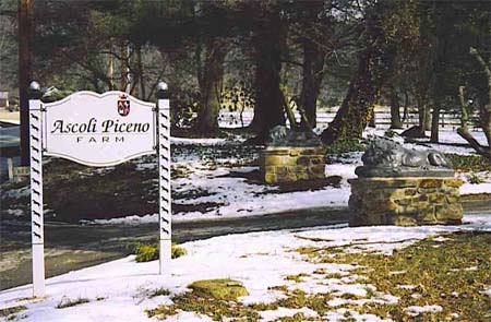 Ascoli Piceno 