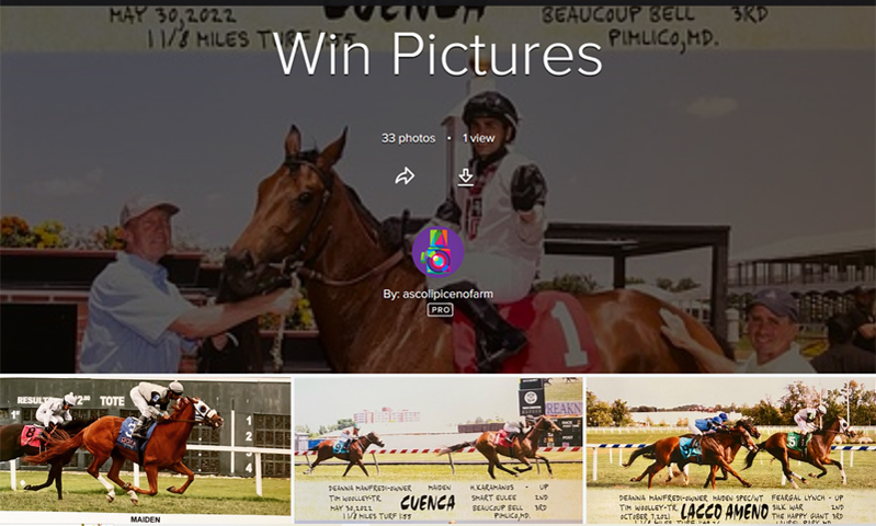 Win Photos